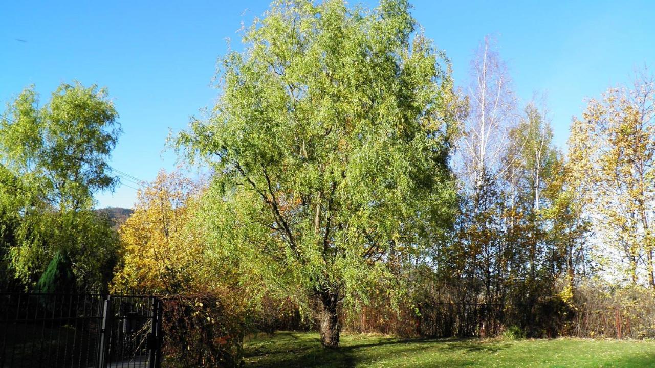 Podelniska Porąbka エクステリア 写真